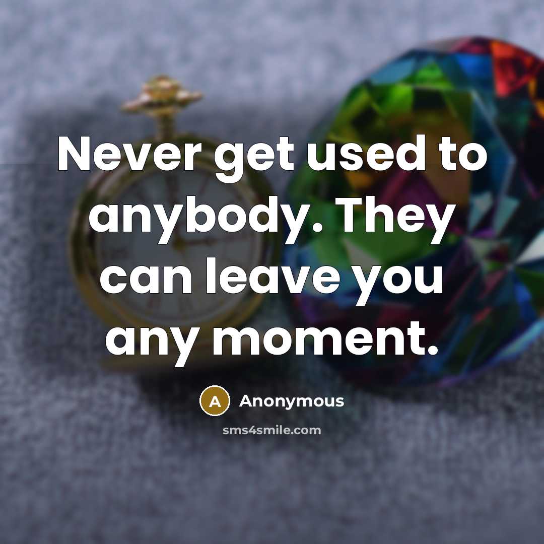“Never get used to anybody. They can leave you any…” quote by Anonymous