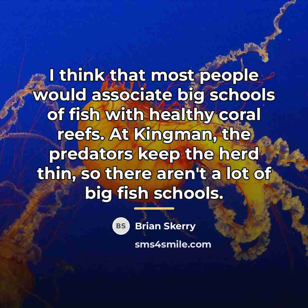 “I think that most people would associate big schools of…” quote by Brian Skerry