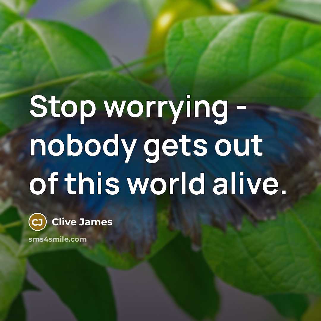 “Stop worrying - nobody gets out of this world alive.…” quote by Clive James