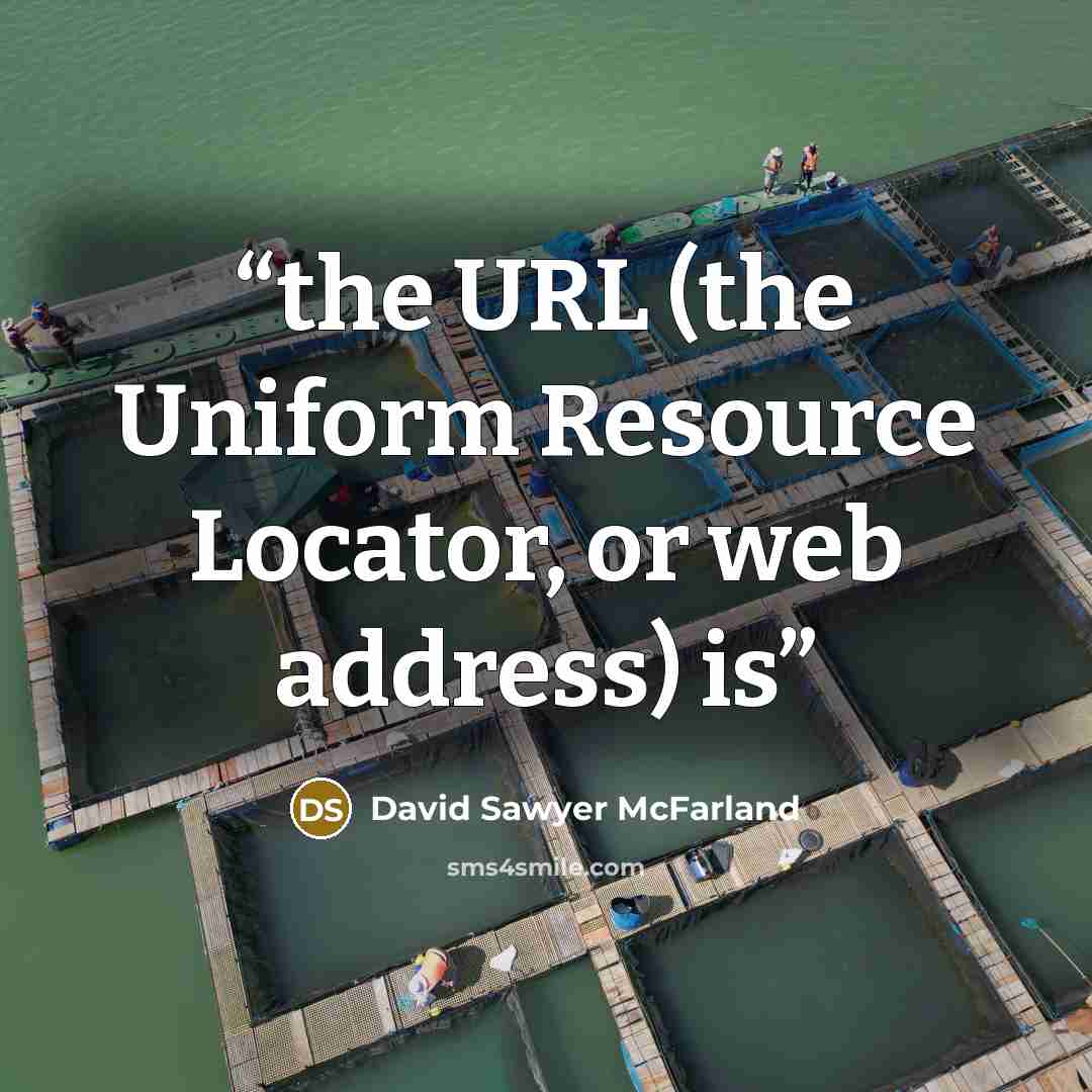 “the URL (the Uniform Resource Locator, or web address) is” quote by David Sawyer McFarland