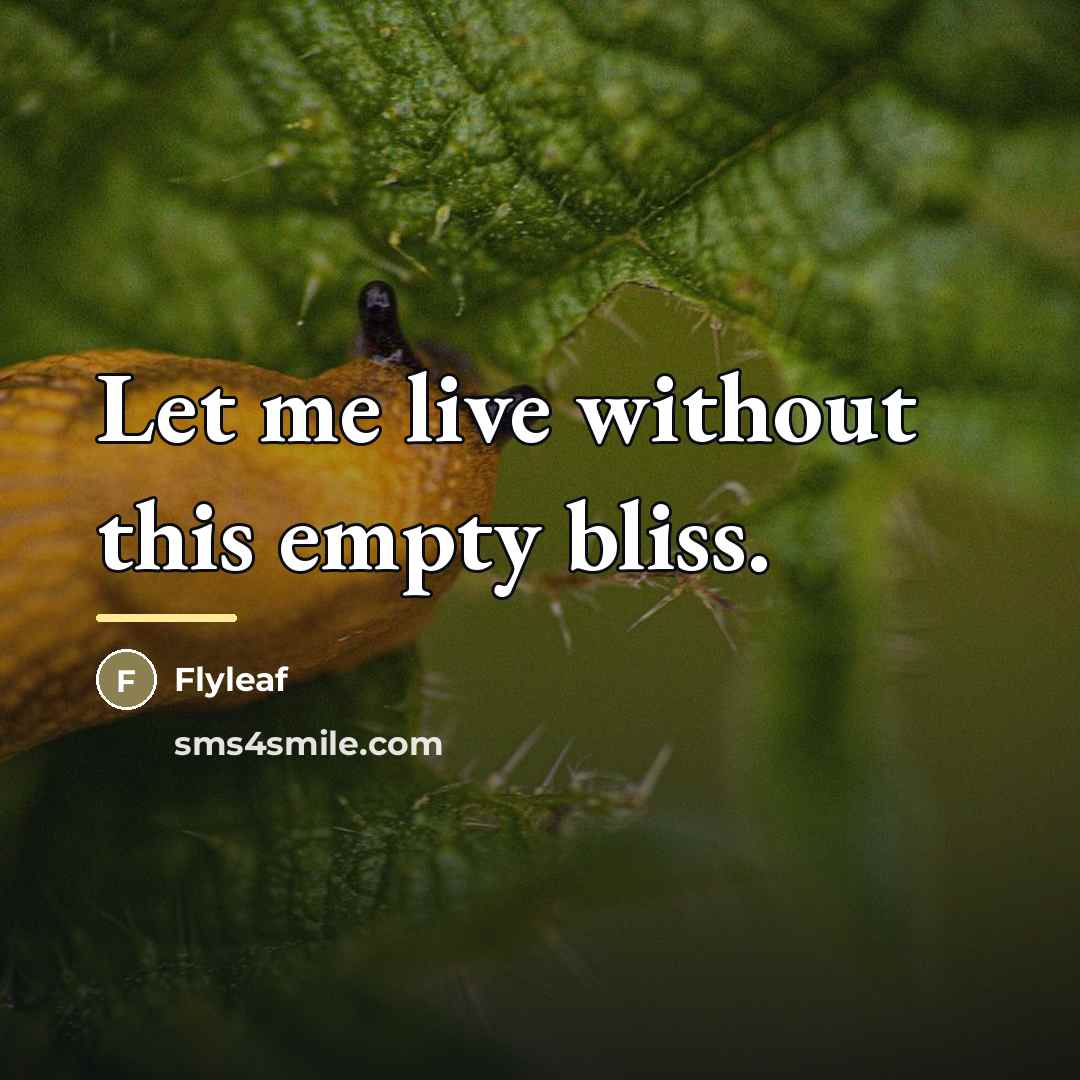 “Let me live without this empty bliss.…” quote by Flyleaf