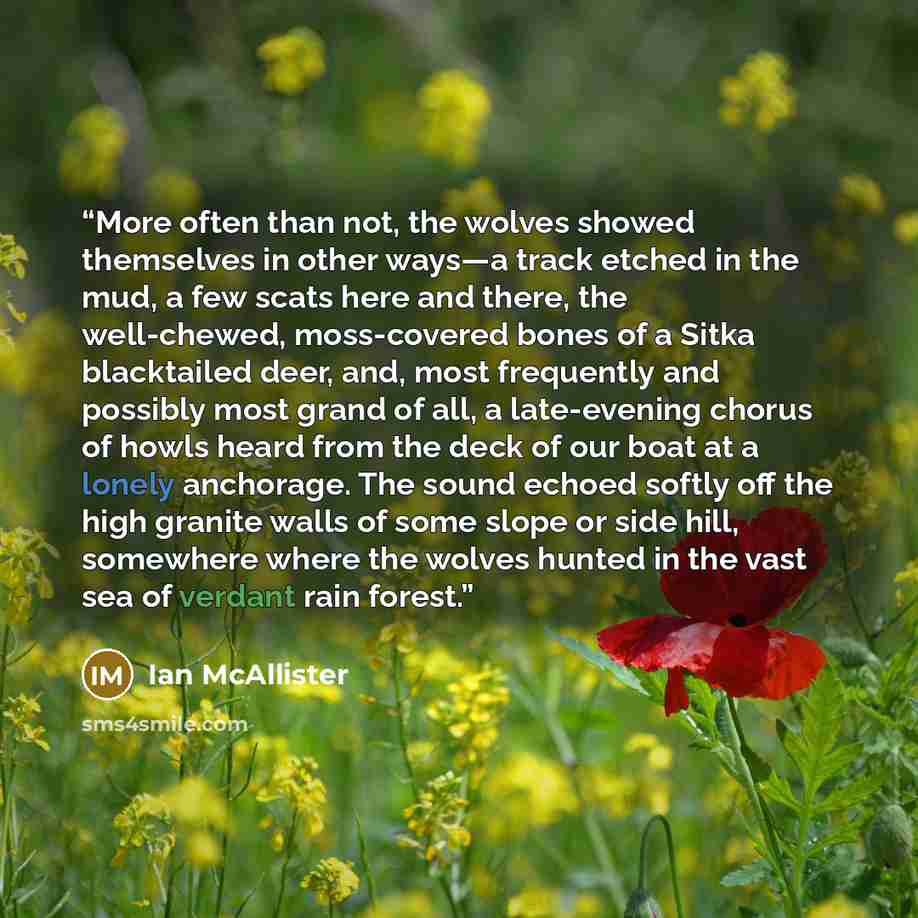 “More often than not, the wolves showed themselves in other ways—a track etched in the mud, a few scats here and there, the well-chewed, moss-covered bones of a Sitka blacktailed deer, and, most frequently and possibly most grand of all, a late-evening chorus of howls heard from the deck of our…” quote by Ian McAllister