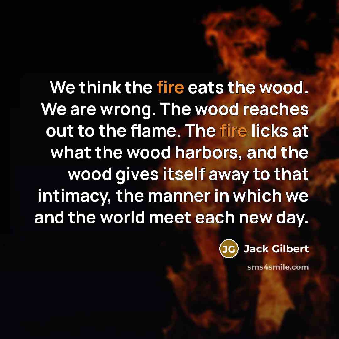 “We think the fire eats the wood. We are wrong.…” quote by Jack Gilbert