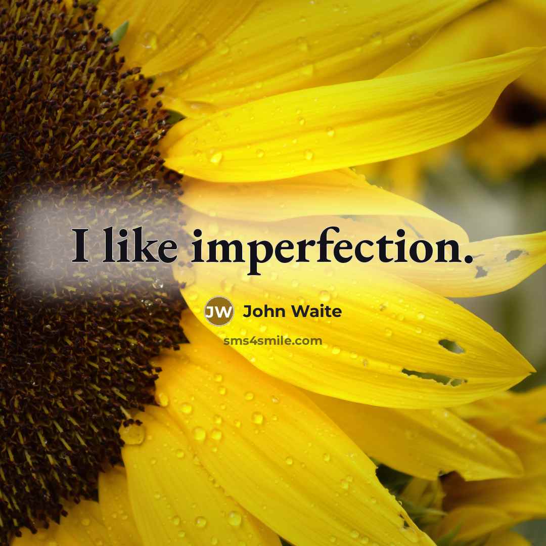 “I like imperfection.…” quote by John Waite
