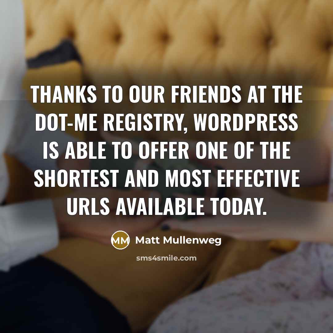 “Thanks to our friends at the dot-ME Registry, WordPress is…” quote by Matt Mullenweg