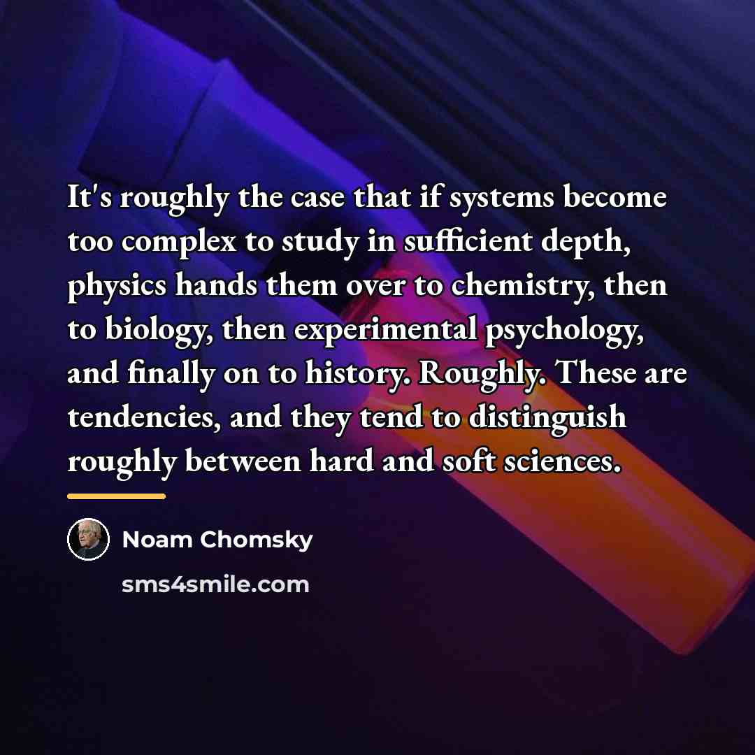“It's roughly the case that if systems become too complex…” quote by Noam Chomsky