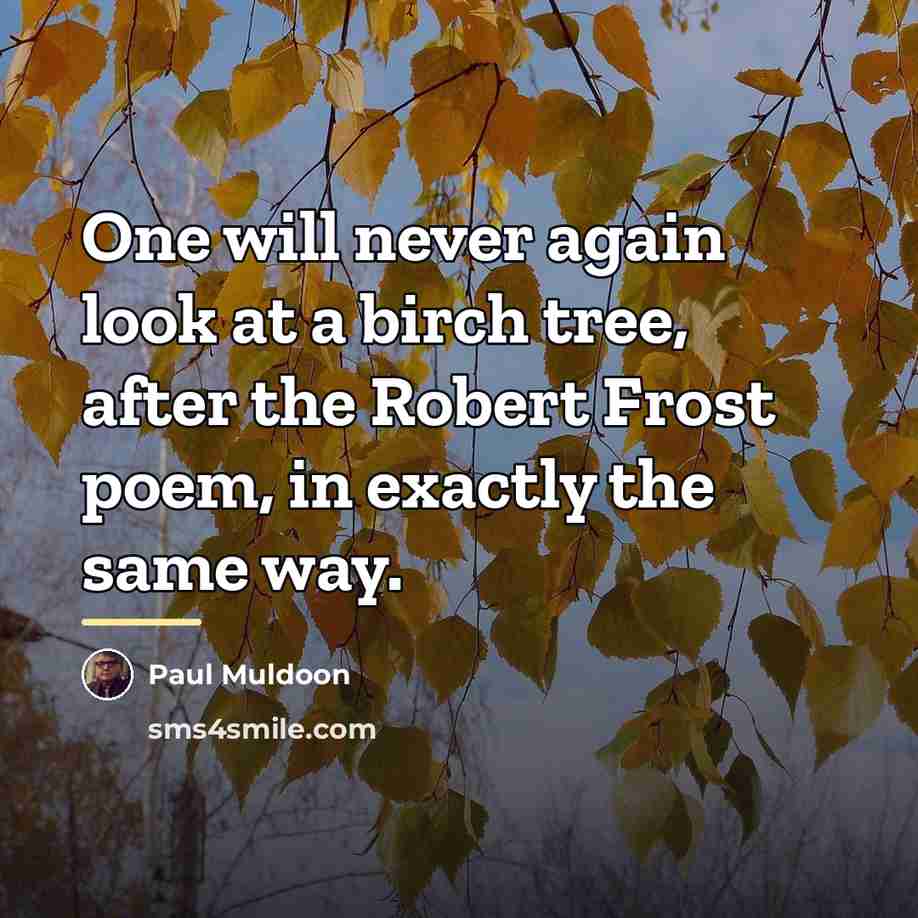 “One will never again look at a birch tree, after…” quote by Paul Muldoon