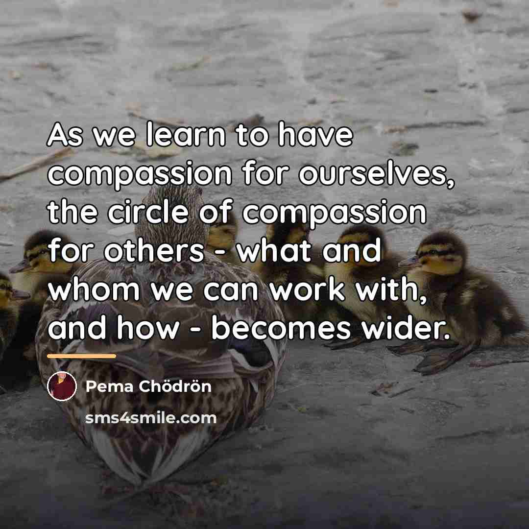 “As we learn to have compassion for ourselves, the circle…” quote by Pema Chodron