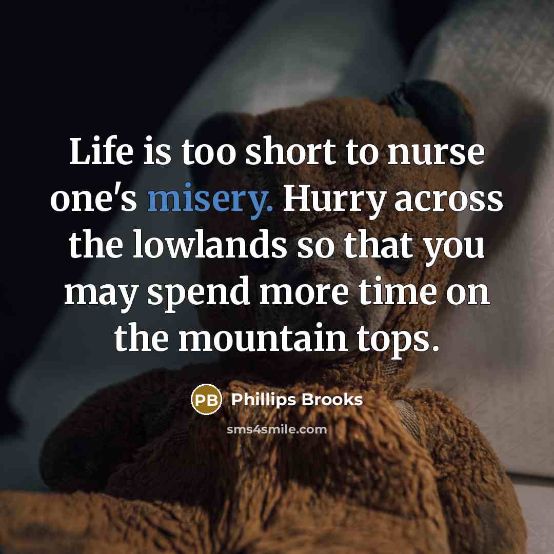 “Life is too short to nurse one's misery. Hurry across…” quote by Phillips Brooks
