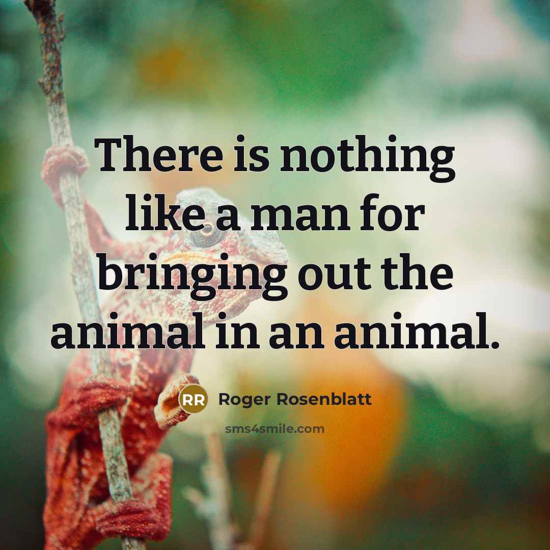 “There is nothing like a man for bringing out the…” quote by Roger Rosenblatt