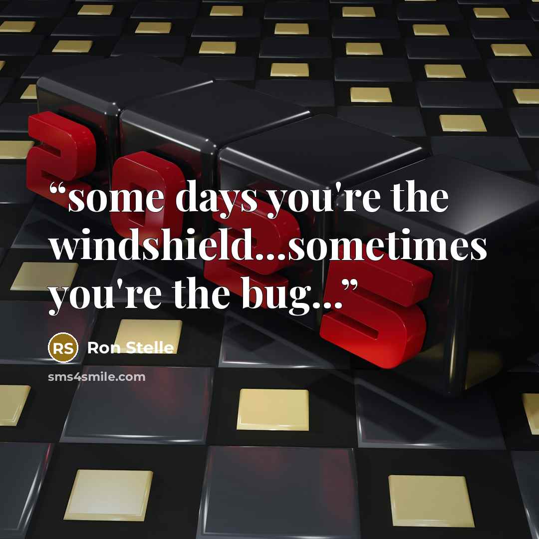“some days you're the windshield...sometimes you're the bug...” quote by Ron Stelle