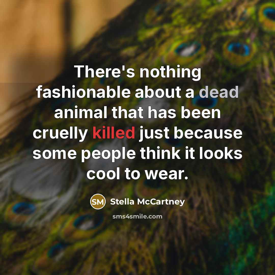 “There's nothing fashionable about a dead animal that has been…” quote by Stella McCartney