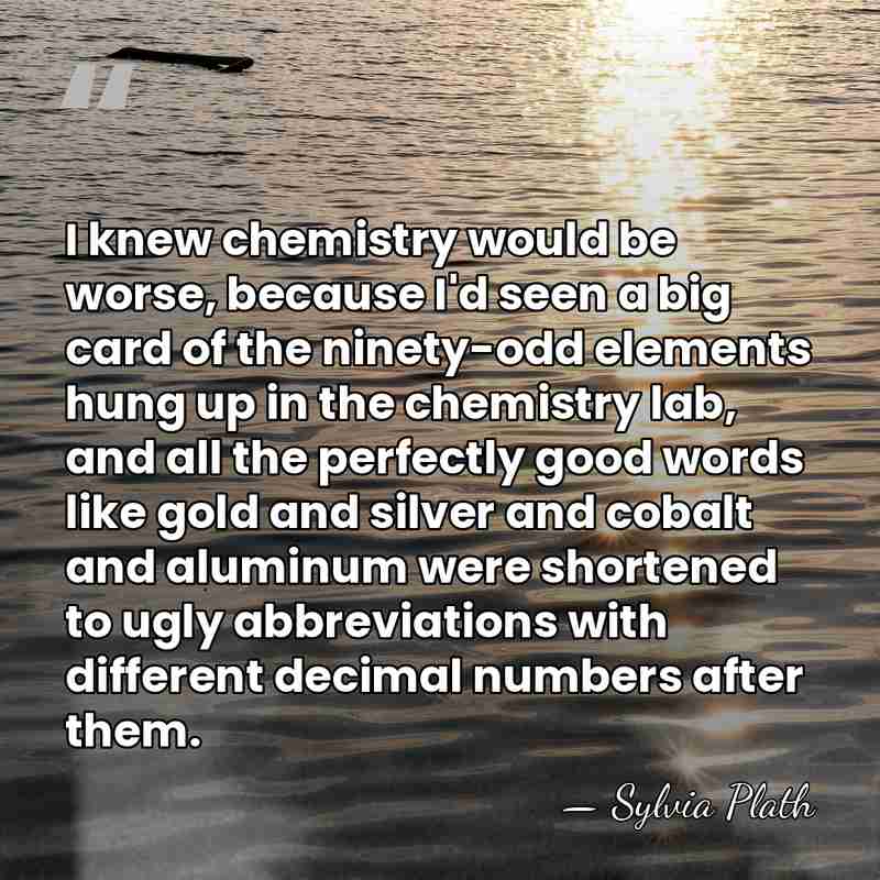 I knew chemistry would be worse, because I'd seen a big card&hellip; - Sylvia Plath