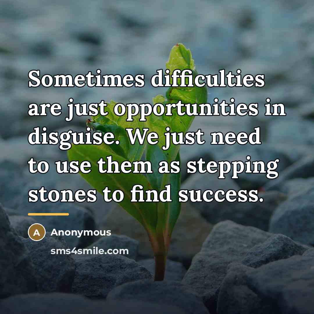 “Sometimes difficulties are just opportunities in disguise. We just need…” quote by Anonymous