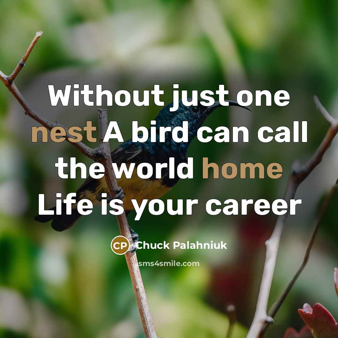 “Without just one nest A bird can call the world home Life is your career” quote by Chuck Palahniuk