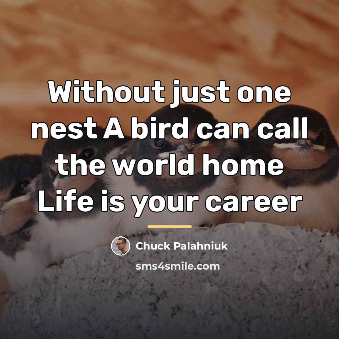 “Without just one nest A bird can call the world…” quote by Chuck Palahniuk