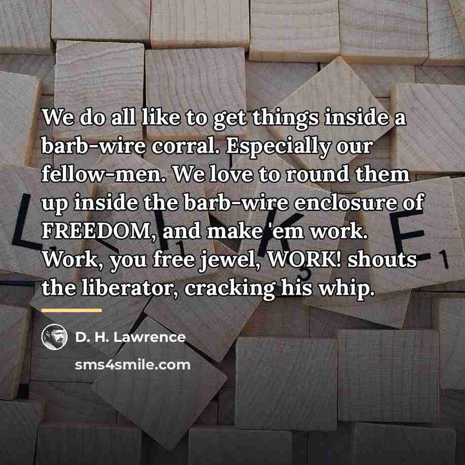 “We do all like to get things inside a barb-wire…” quote by D. H. Lawrence