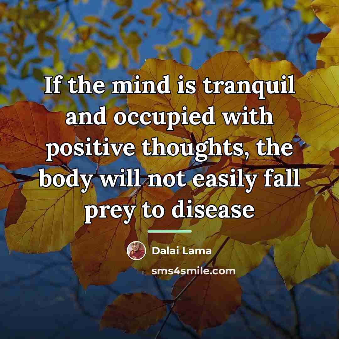 “If the mind is tranquil and occupied with positive thoughts,…” quote by Dalai Lama