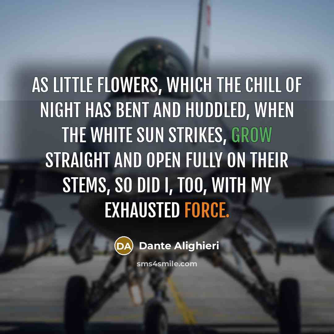 “As little flowers, which the chill of night has bent…” quote by Dante Alighieri