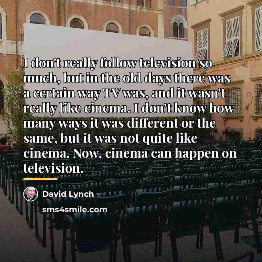 “I don't really follow television so much, but in the…” quote by David Lynch