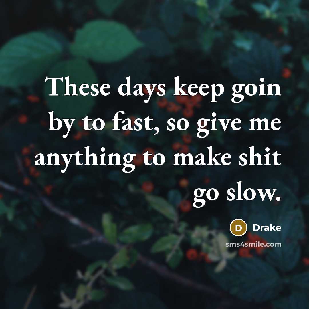 “These days keep goin by to fast, so give me anything to make shit go slow.” quote by Drake