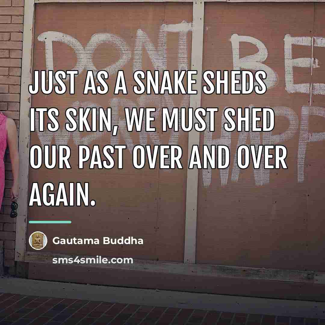 “Just as a snake sheds its skin, we must shed…” quote by Gautama Buddha