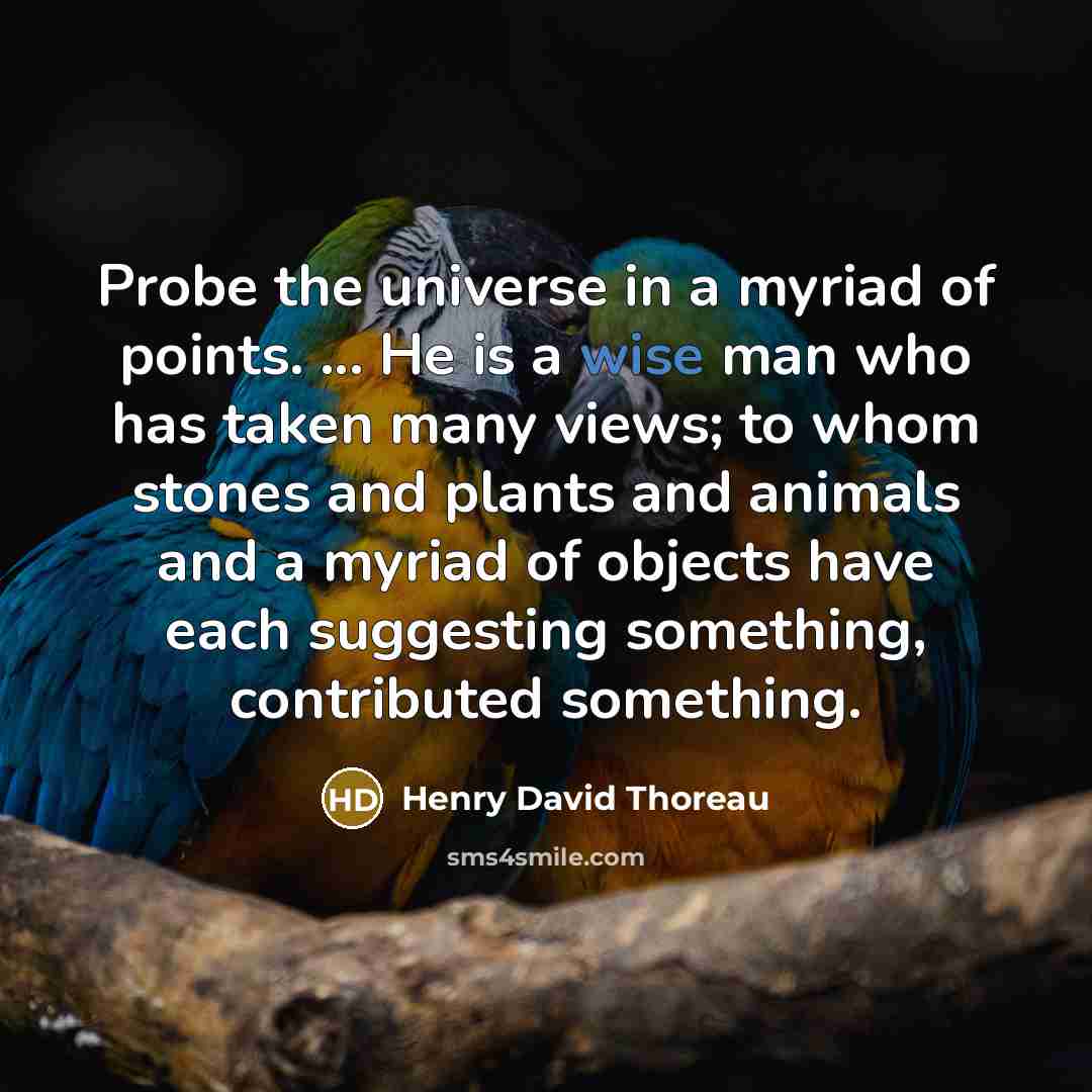 “Probe the universe in a myriad of points. ... He…” quote by Henry David Thoreau