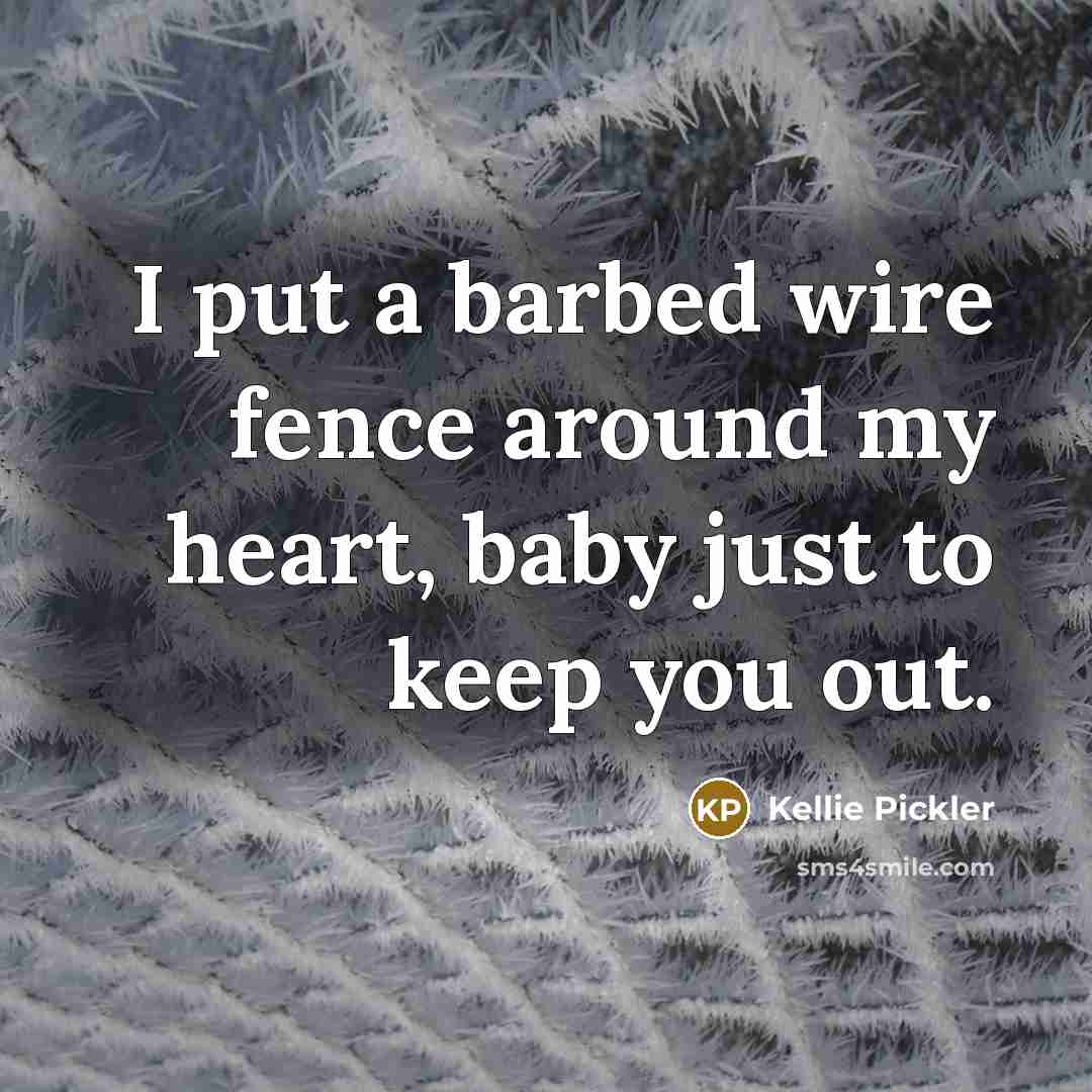 “I put a barbed wire fence around my heart, baby just to keep you out.” quote by Kellie Pickler