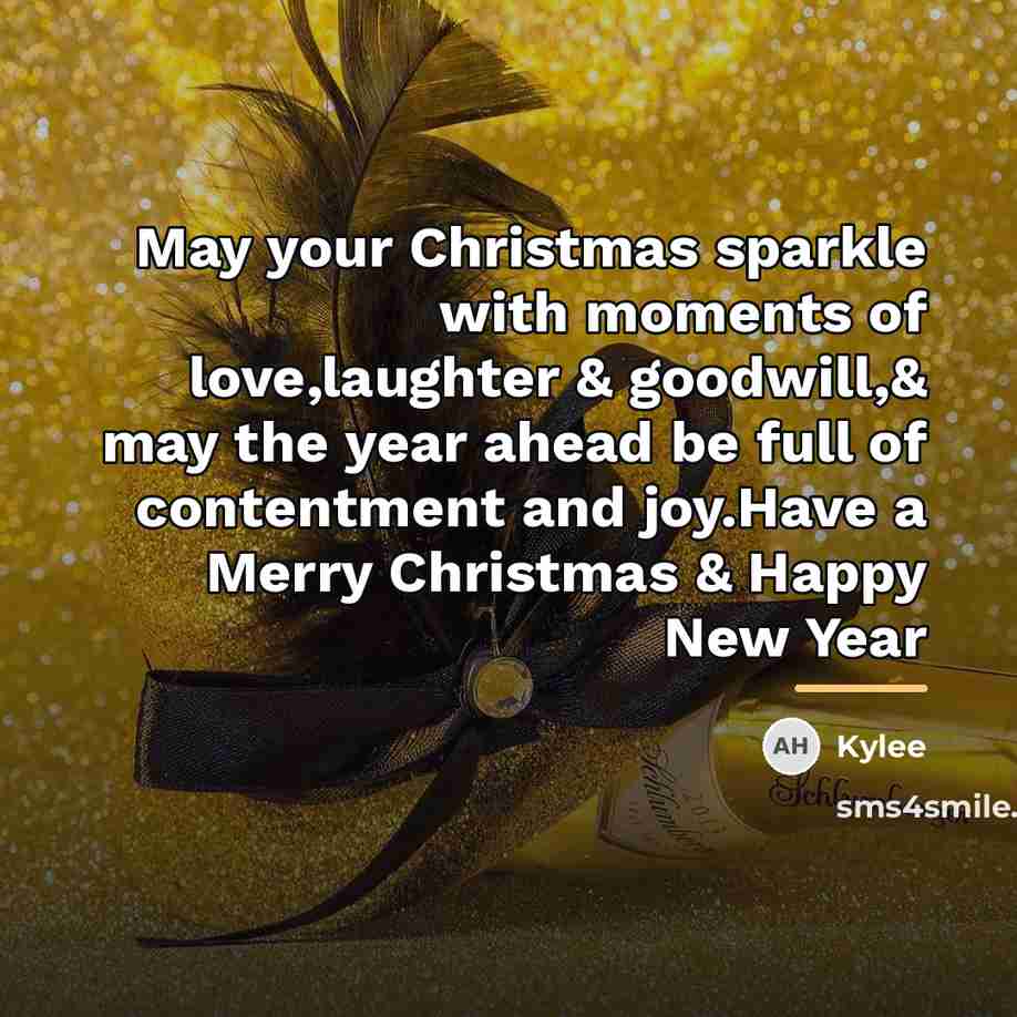 “May your Christmas sparkle with moments of love,laughter & goodwill,&…” quote by Kylee