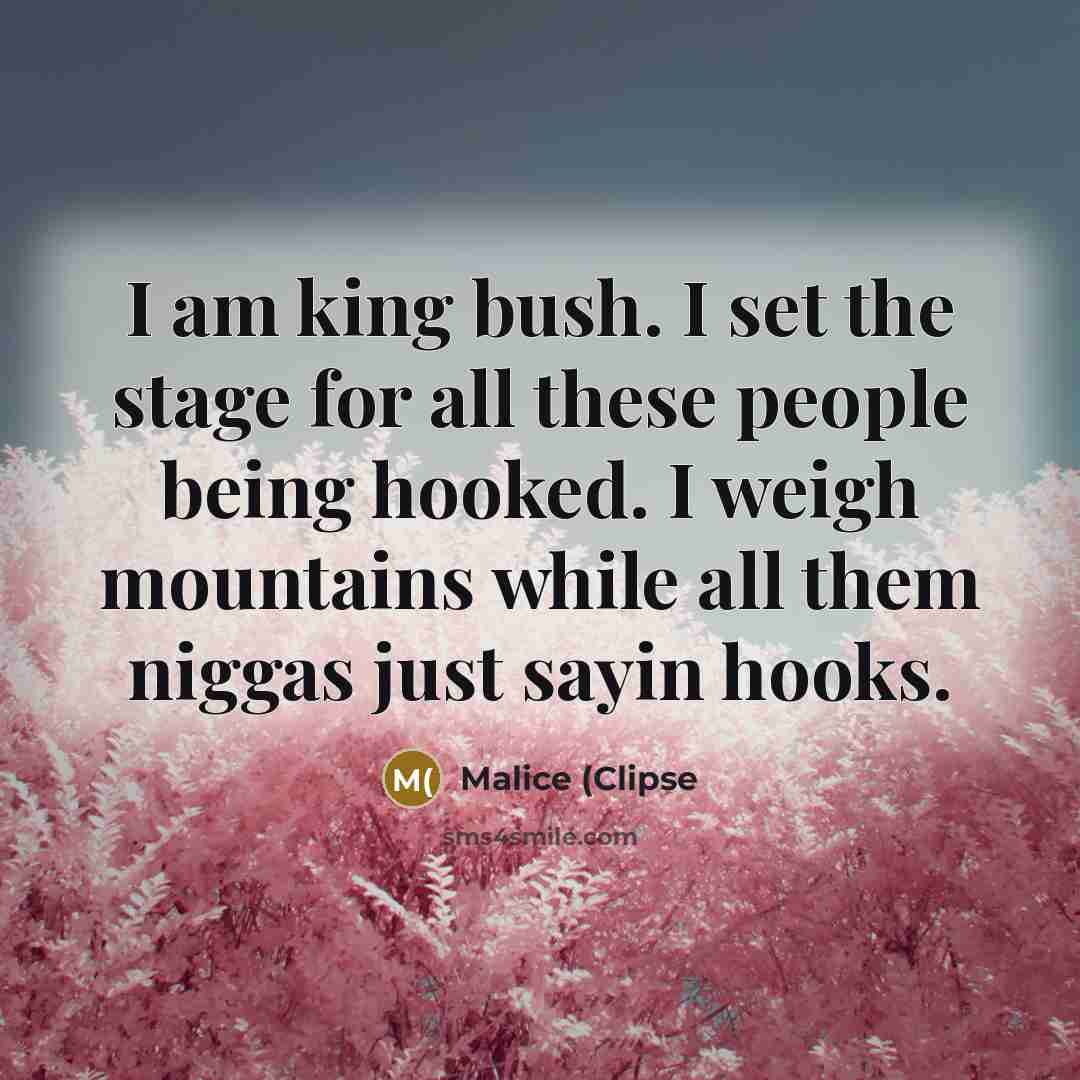 “I am king bush. I set the stage for all these people being hooked. I weigh mountains while all them niggas just sayin hooks.” quote by Malice (Clipse