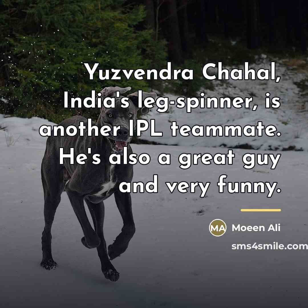 “Yuzvendra Chahal, India's leg-spinner, is another IPL teammate. He's also…” quote by Moeen Ali