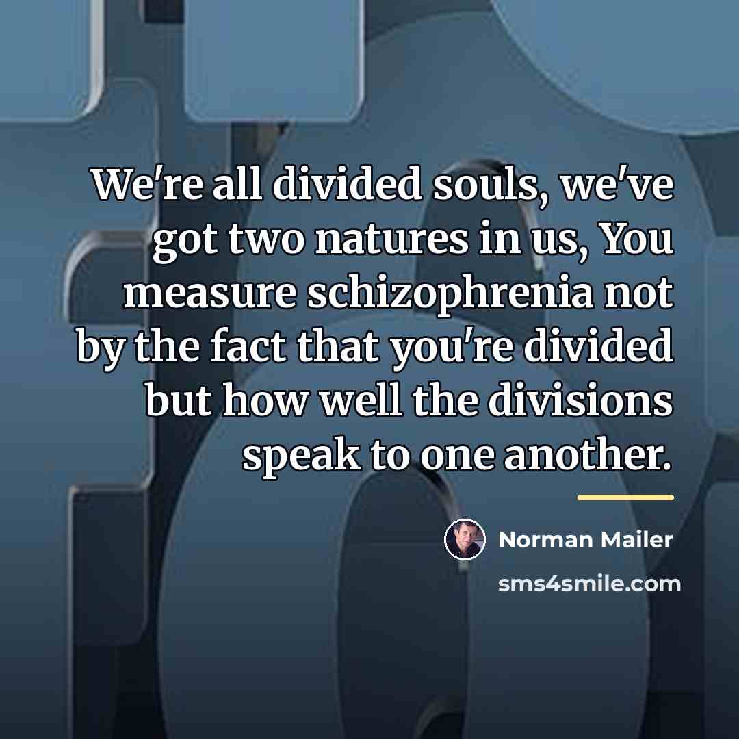 “We're all divided souls, we've got two natures in us,…” quote by Norman Mailer