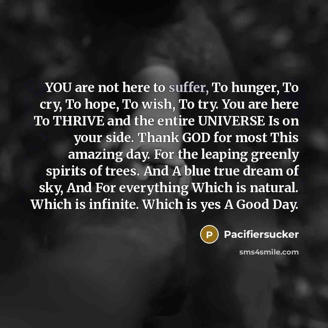 “YOU are not here to suffer, To hunger, To cry,…” quote by Pacifiersucker