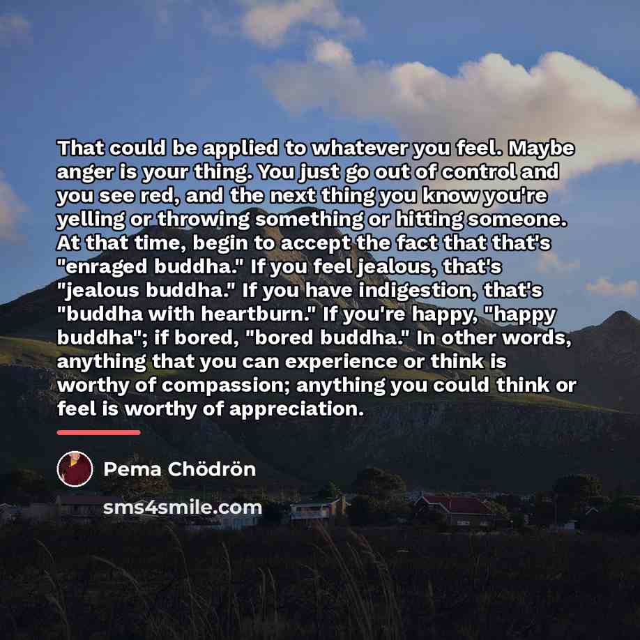 “That could be applied to whatever you feel. Maybe anger…” quote by Pema Chodron