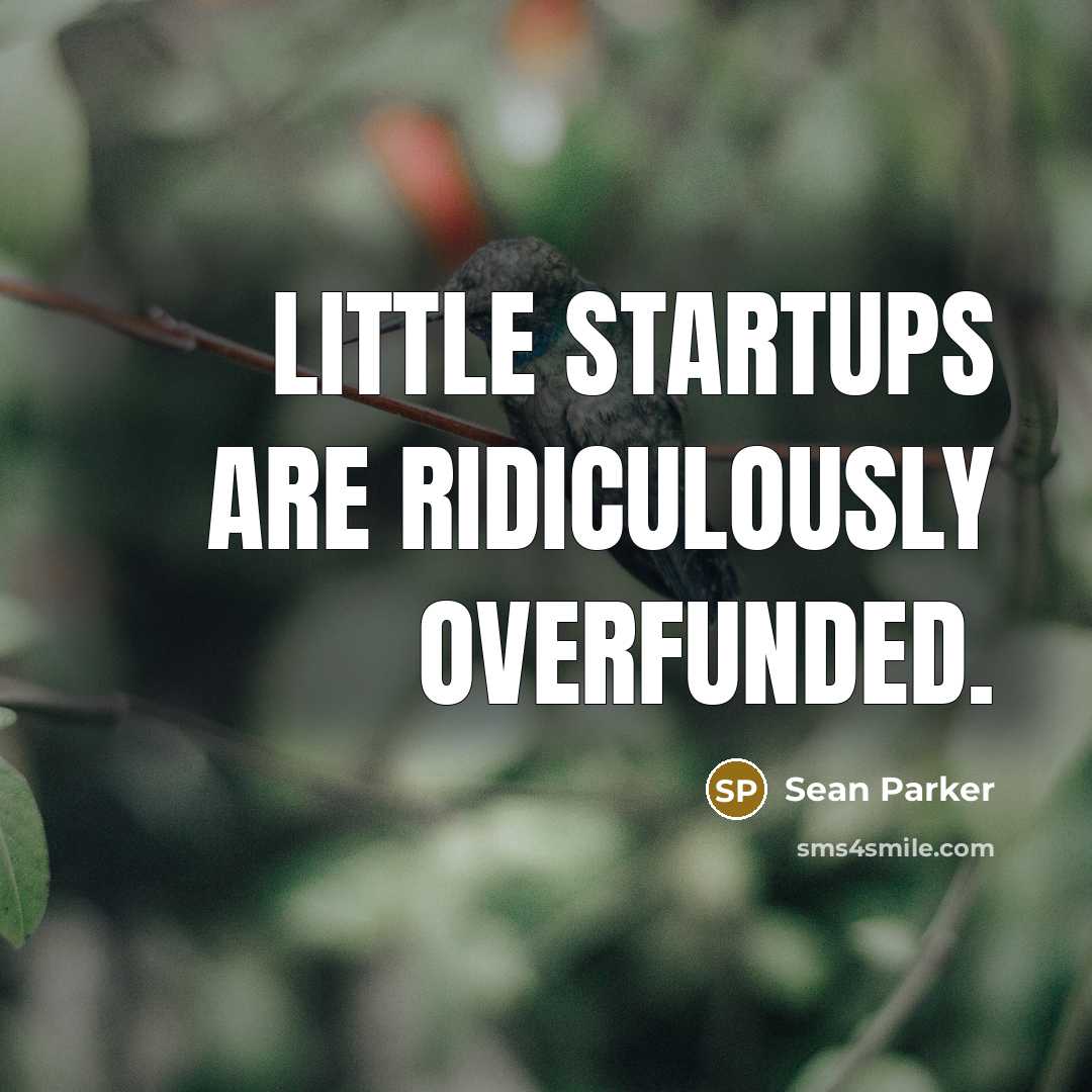 “Little startups are ridiculously overfunded.…” quote by Sean Parker