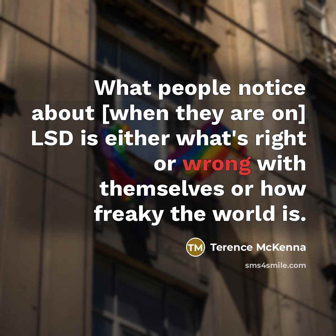 “What people notice about [when they are on] LSD is…” quote by Terence McKenna