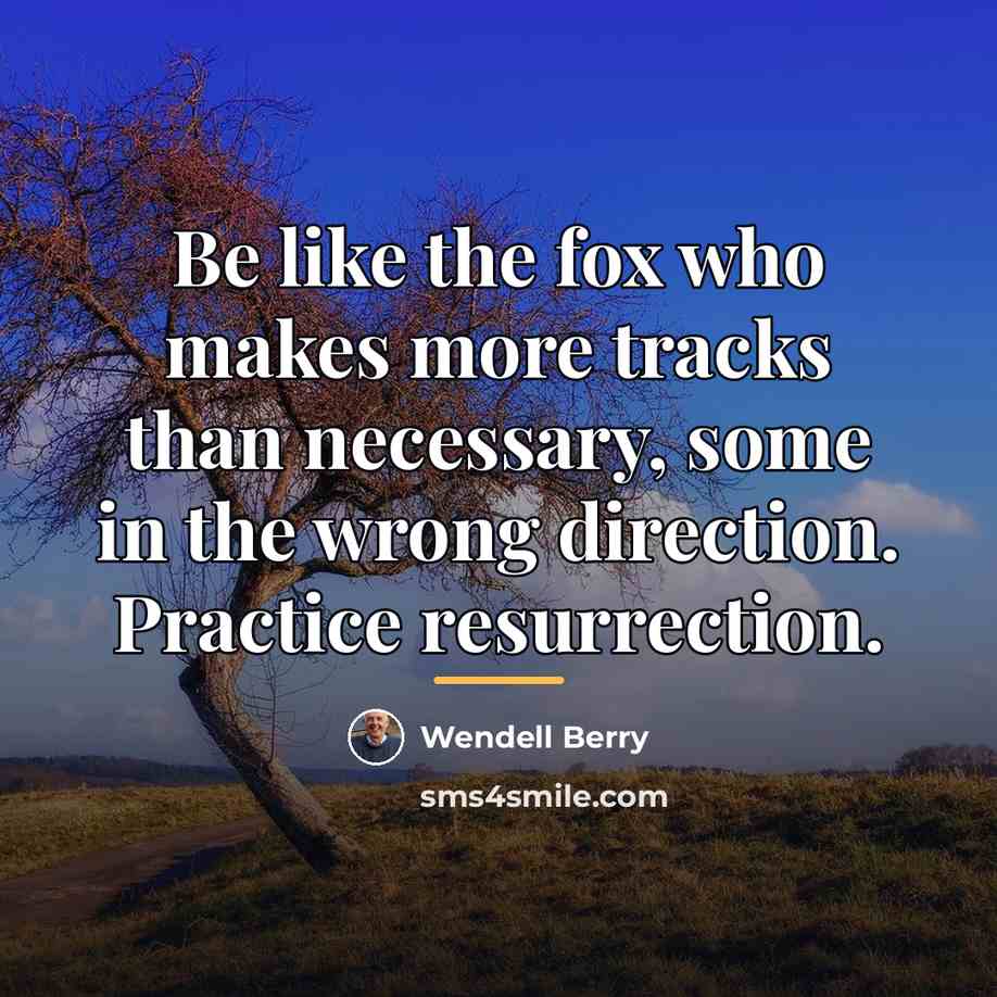 “Be like the fox who makes more tracks than necessary,…” quote by Wendell Berry