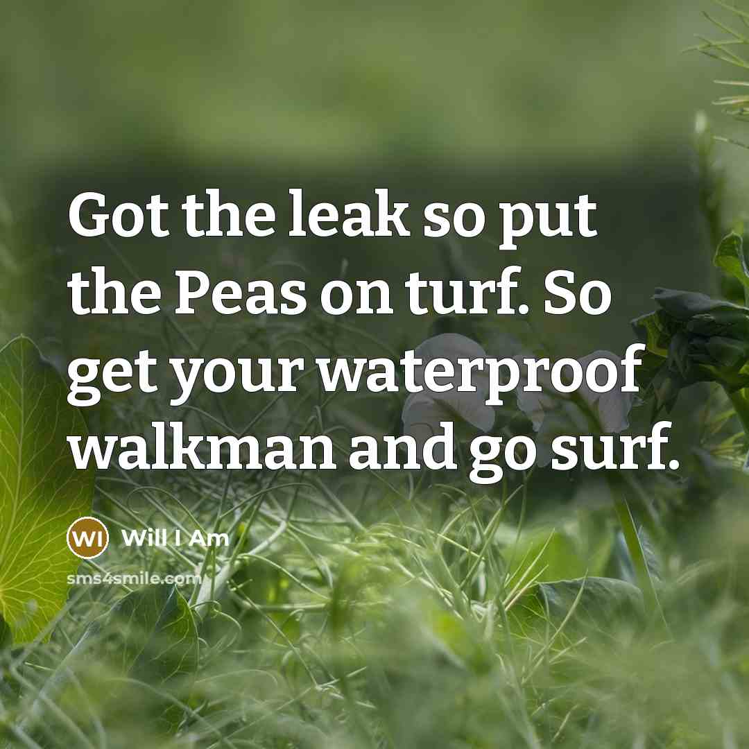 “Got the leak so put the Peas on turf. So get your waterproof walkman and go surf.” quote by Will I Am