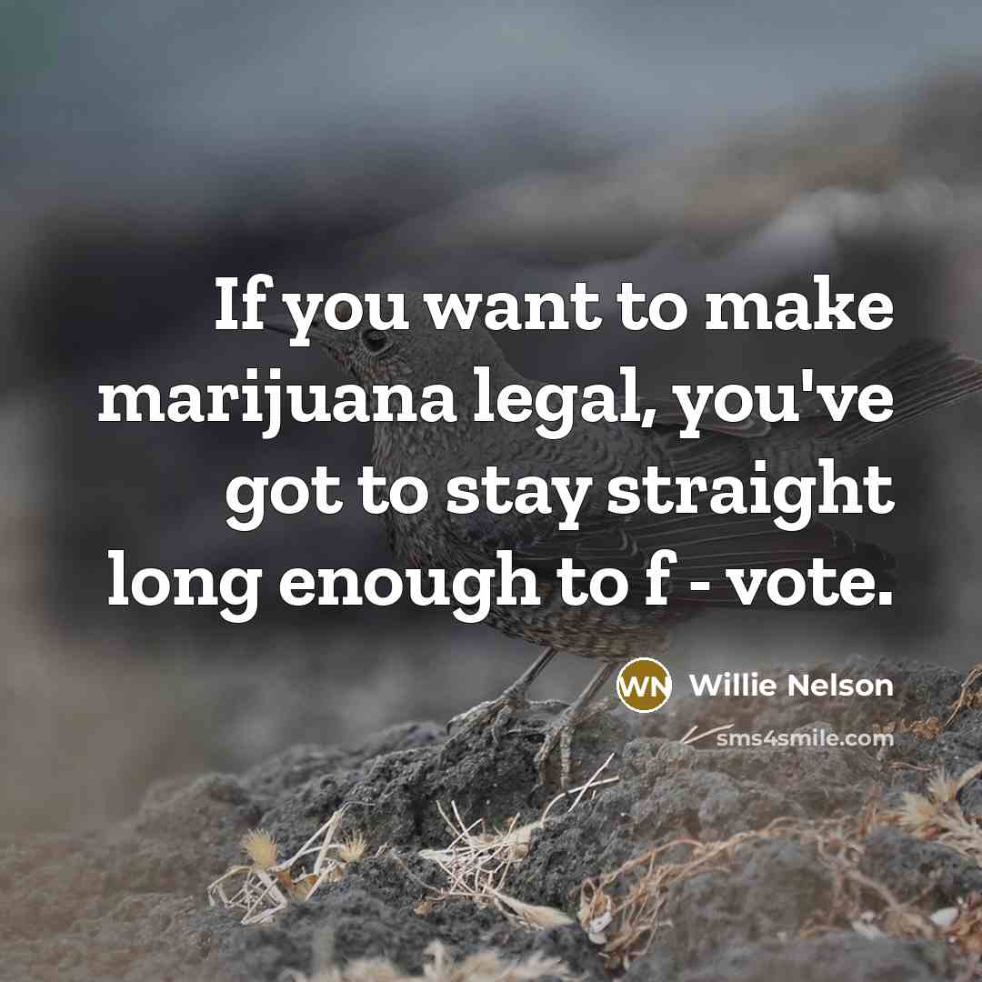 “If you want to make marijuana legal, you've got to…” quote by Willie Nelson