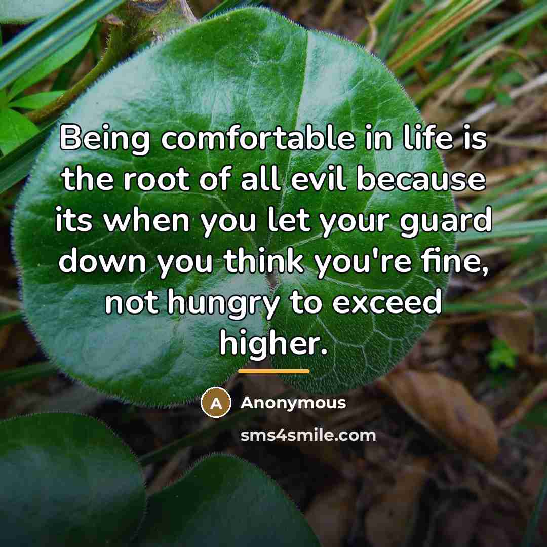 “Being comfortable in life is the root of all evil…” quote by Anonymous
