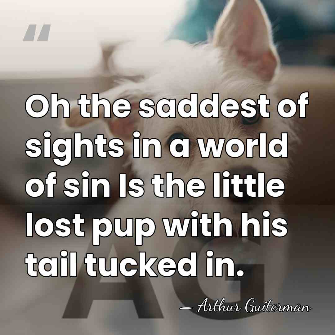Oh the saddest of sights in a world of sin Is the&hellip; - Arthur Guiterman