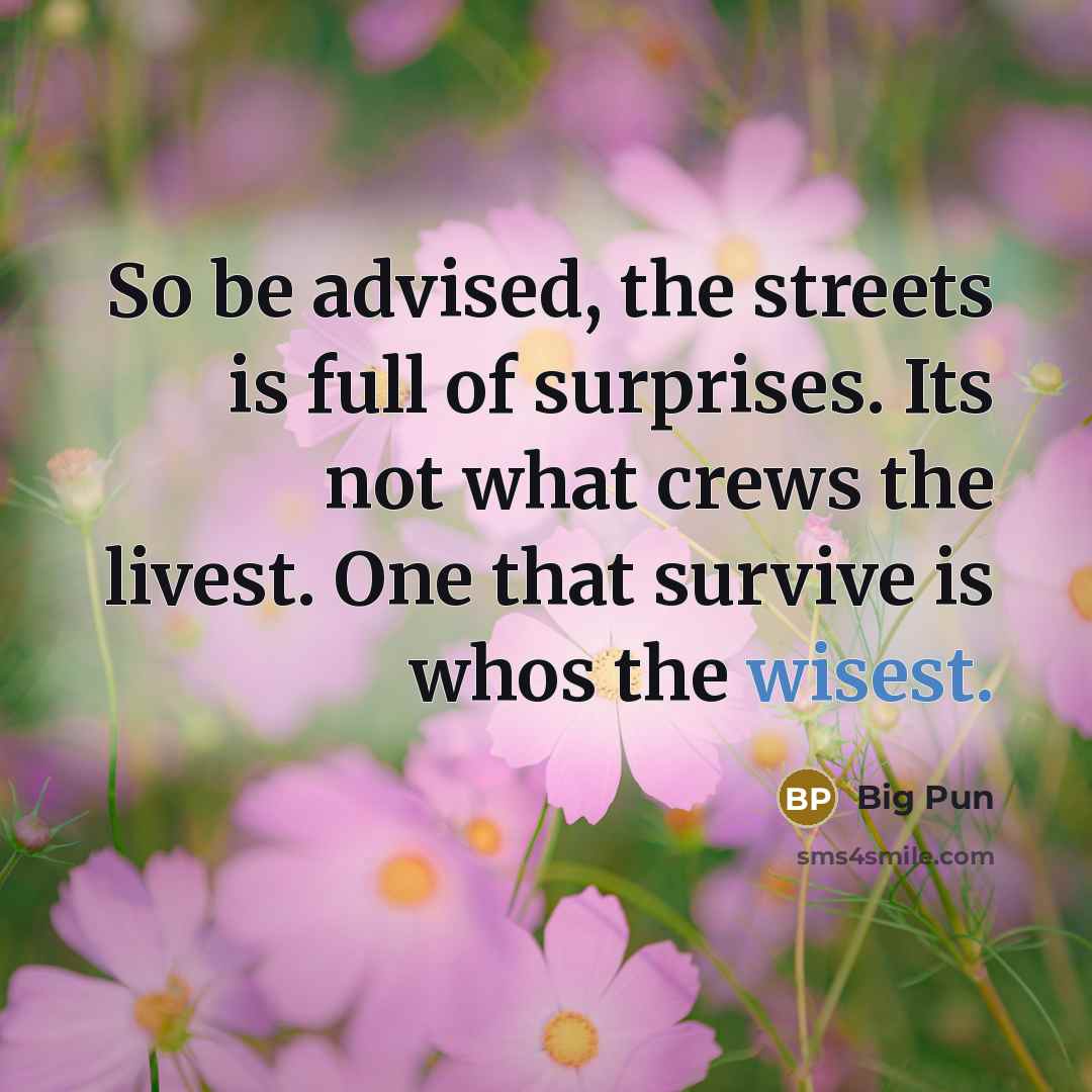 “So be advised, the streets is full of surprises. Its not what crews the livest. One that survive is whos the wisest.” quote by Big Pun