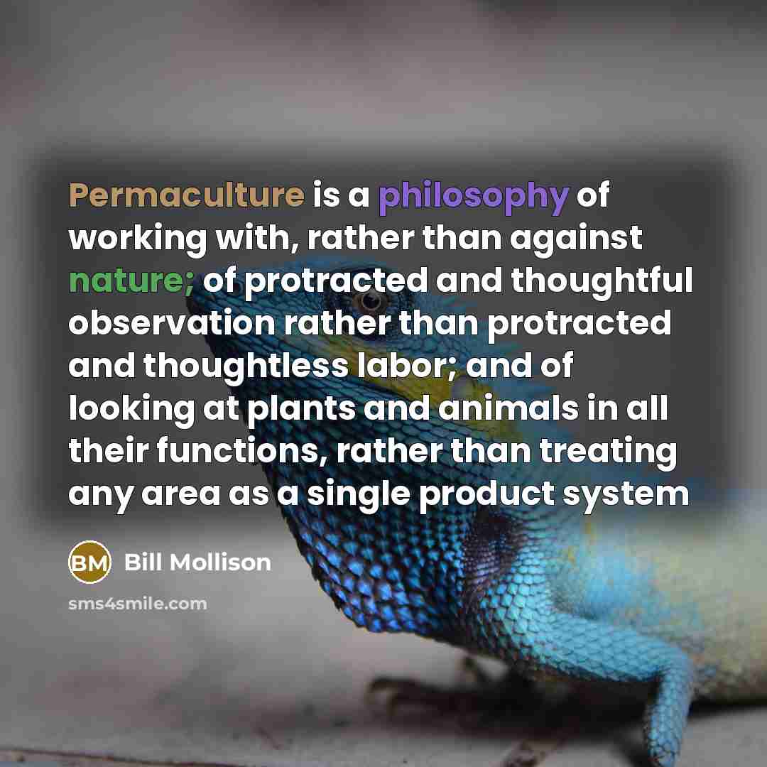 “Permaculture is a philosophy of working with, rather than against nature; of protracted and thoughtful observation rather than protracted and thoughtless labor; and of looking at plants and animals in all their functions, rather than treating any area as a single product system” quote by Bill Mollison