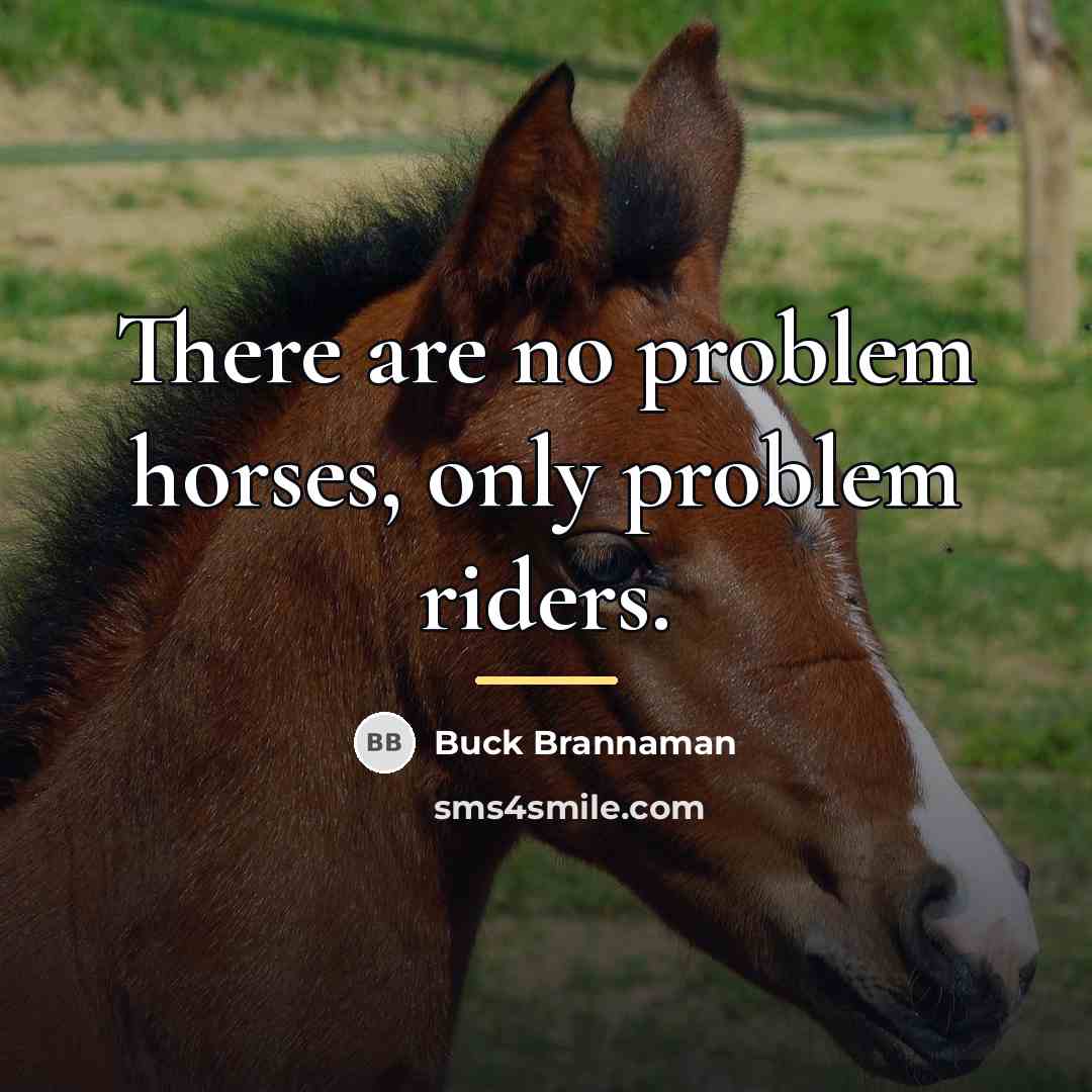 “There are no problem horses, only problem riders.…” quote by Buck Brannaman
