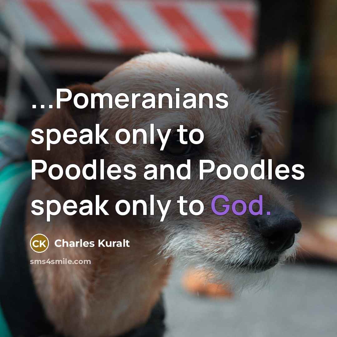“...Pomeranians speak only to Poodles and Poodles speak only to…” quote by Charles Kuralt