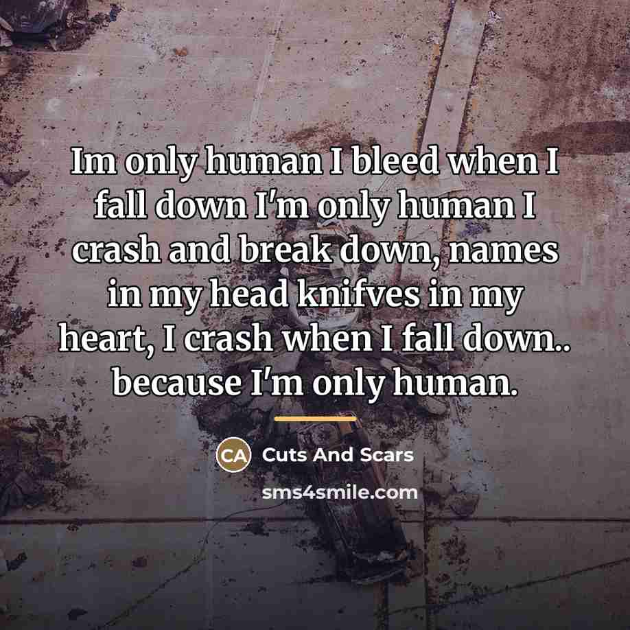 “Im only human I bleed when I fall down I'm…” quote by Cuts And Scars