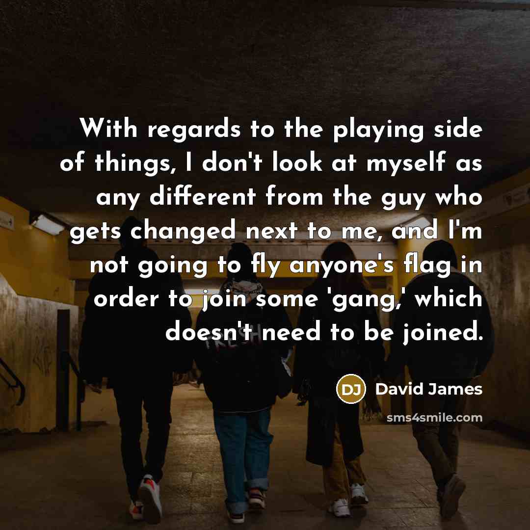 “With regards to the playing side of things, I don't…” quote by David James
