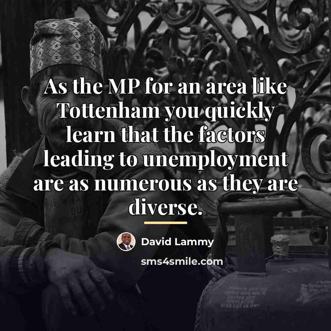 “As the MP for an area like Tottenham you quickly…” quote by David Lammy