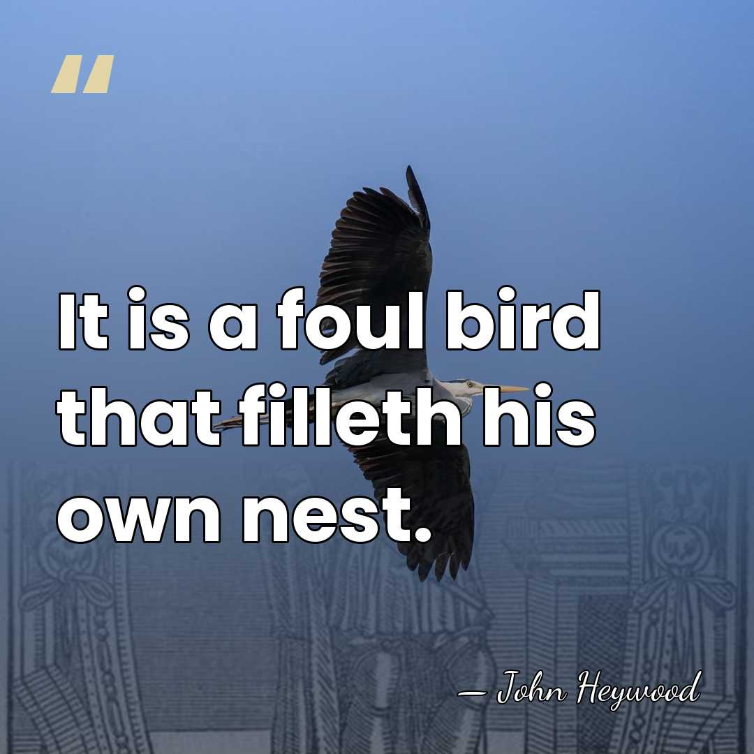 It is a foul bird that filleth his own nest. - John Heywood