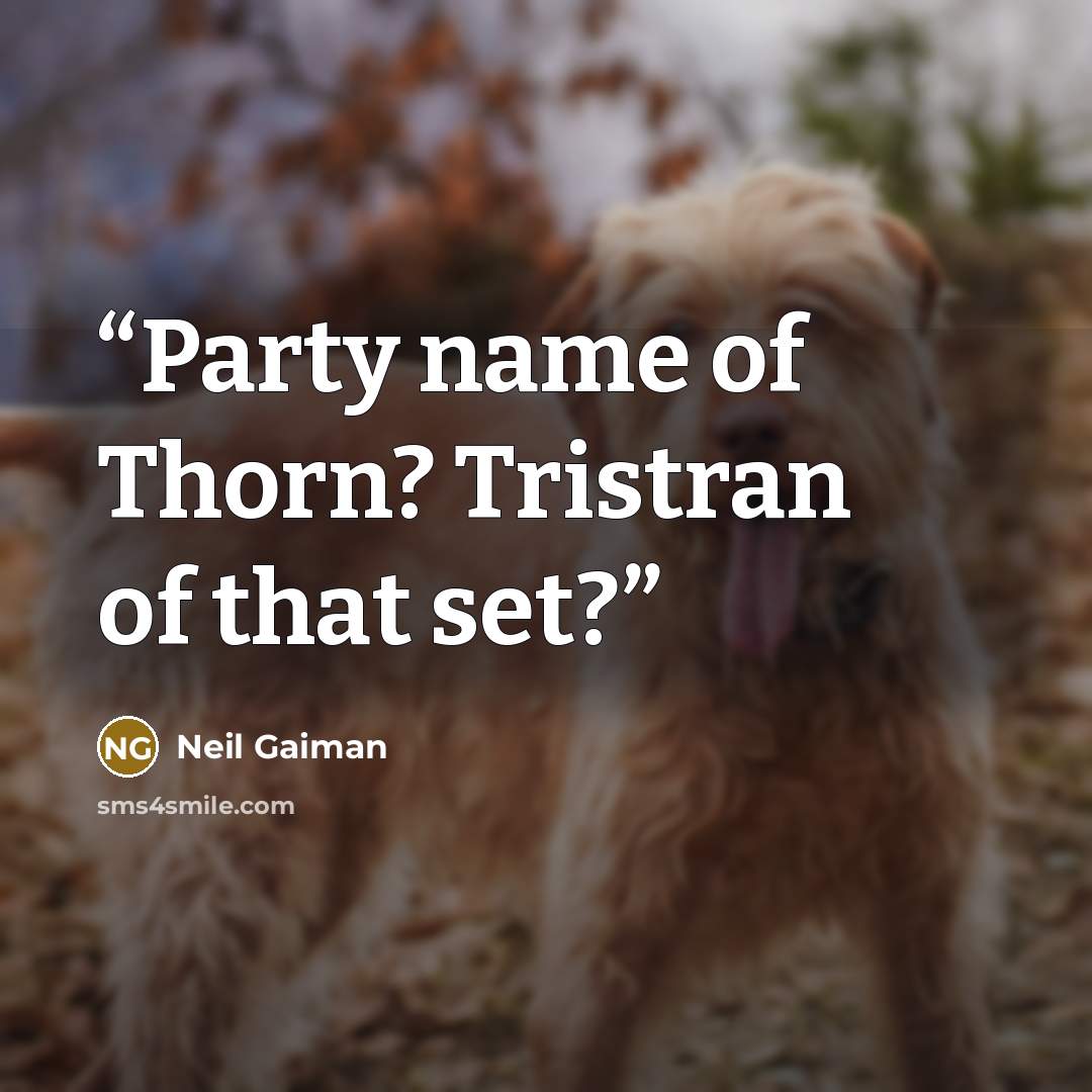 “Party name of Thorn? Tristran of that set?” quote by Neil Gaiman